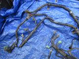 1995 Honda Accord F22B1 automatic transmission engine wiring harness motor cuts